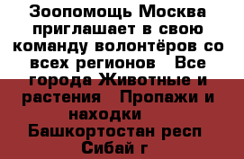 Зоопомощь.Москва приглашает в свою команду волонтёров со всех регионов - Все города Животные и растения » Пропажи и находки   . Башкортостан респ.,Сибай г.